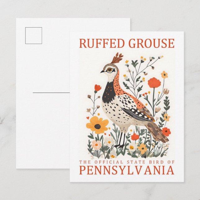Ruffed Grouse Bird of Pennsylvania Travel Postcard (Front/Back)