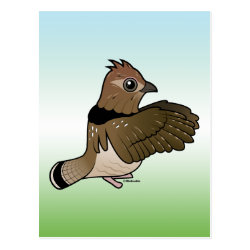Ruffed Grouse (drumming) Postcard