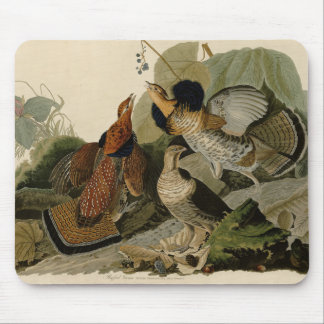 Ruffed Grouse - from Audubon's Birds of America Po Mouse Pad