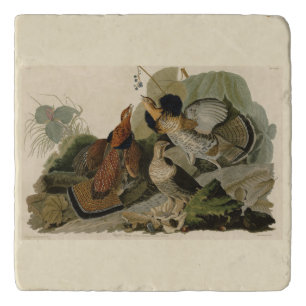 Ruffed Grouse - from Audubon's Birds of America Trivet