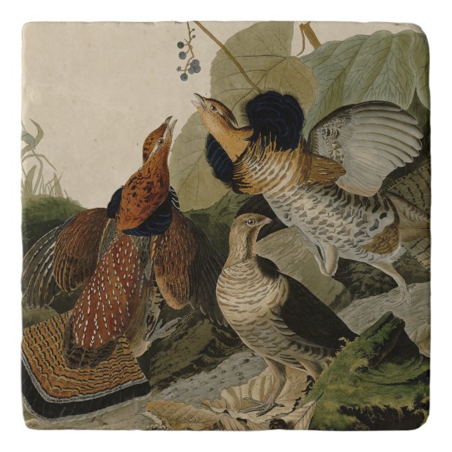 Ruffed Grouse - from Audubon's Birds of America Trivet (Front)