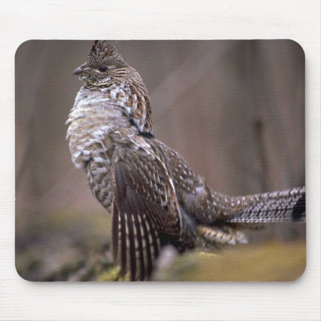 Ruffed Grouse Mouse Pad (Front)