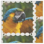 Ruffled Blue and Gold Macaw Fabric