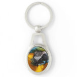 Ruffled Blue and Gold Macaw Keychain