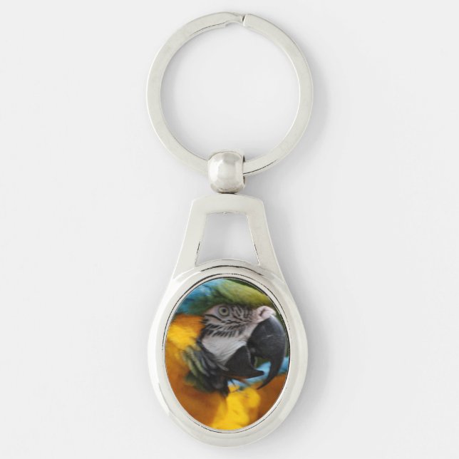 Ruffled Blue and Gold Macaw Keychain (Front)