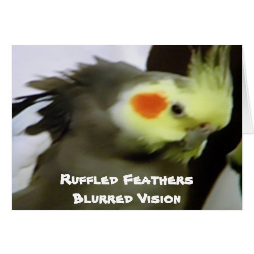 RUFFLED FEATHERSBLURRED VISION
