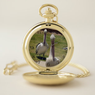 Ruffled Feathers: Pelicans With A Attitude, Pocket Watch