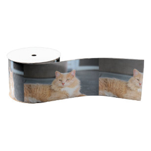 Ruffles Grosgrain Ribbon