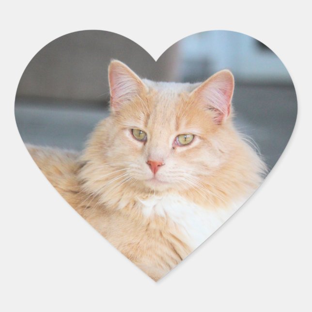 Ruffles  heart sticker (Front)