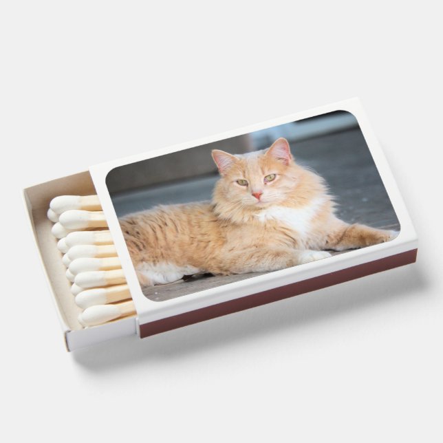 Ruffles Matchboxes (Front Open)