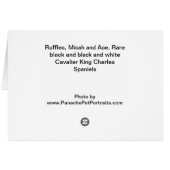 Ruffles, Micah and Ace Cards (Back Horizontal)