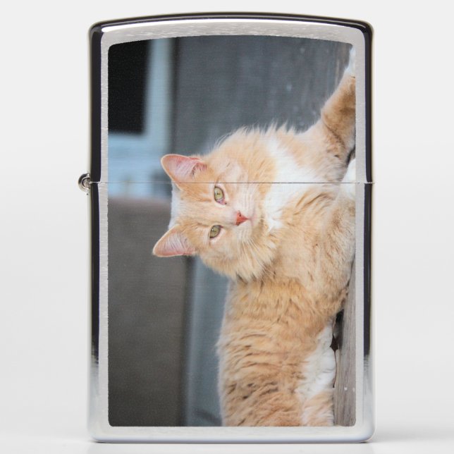 Ruffles Zippo Lighter (Front)