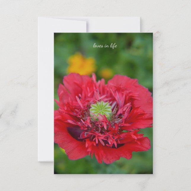 Ruffly Red Poppy Note Card (Front)
