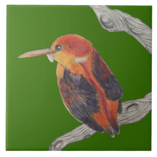 Rufous Backed Kingfisher on a Ceramic Tile