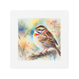 Rufous Collared Sparrow 230924AREF107 - Watercolor Metal Print