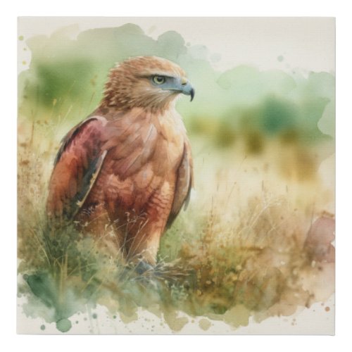 Rufous Crab Hawk in Grasslands AREF458 _ Watercolo Faux Canvas Print