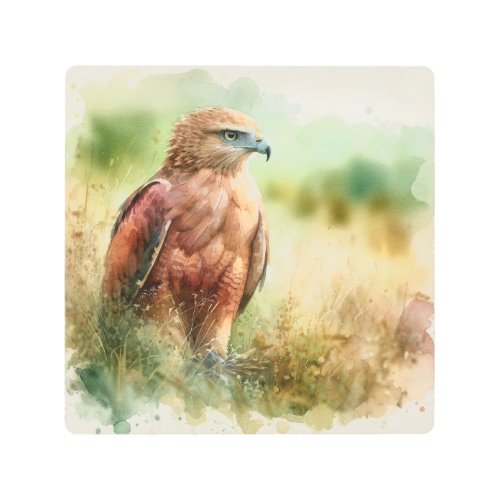 Rufous Crab Hawk in Grasslands AREF458 _ Watercolo Metal Print