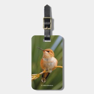 Rufous Hummingbird at Rest Luggage Tag