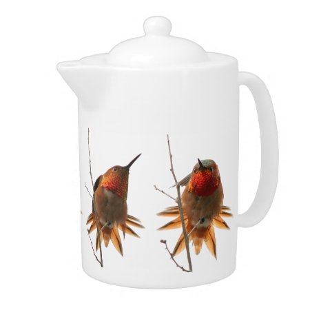 Rufous Hummingbird Bird Wildlife Animal Teapot