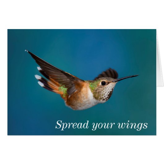Rufous Hummingbird Cards (Front Horizontal)
