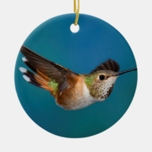 Rufous Hummingbird Ceramic Ornament