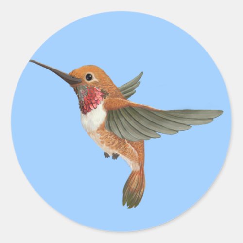 Rufous Hummingbird Classic Round Sticker