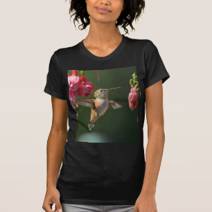 Rufous Hummingbird feeding on a Fuchsia T-Shirt