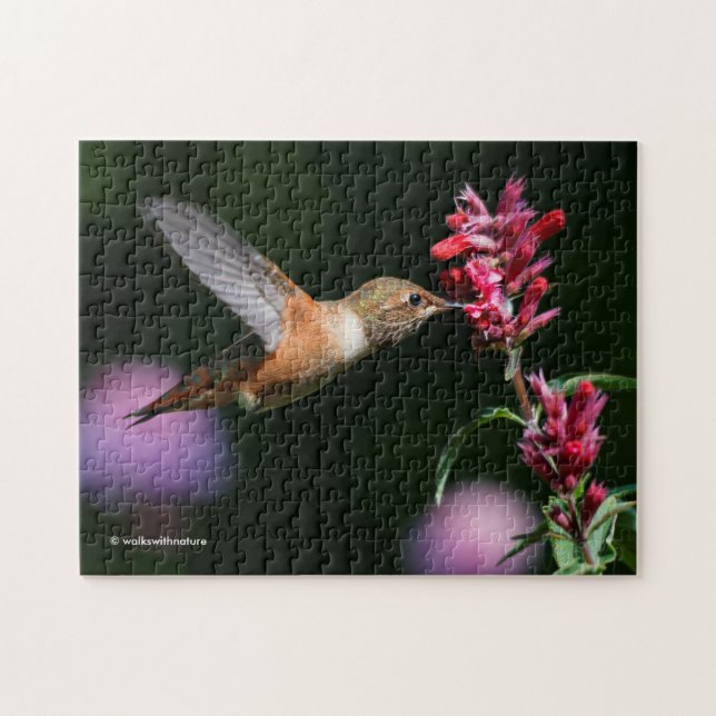 Rufous Hummingbird Feeding on the Anise Hyssop Jigsaw Puzzle (Horizontal)