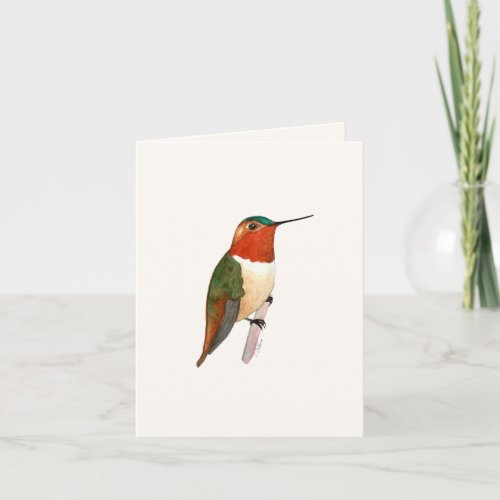 Rufous Hummingbird Greeting Card