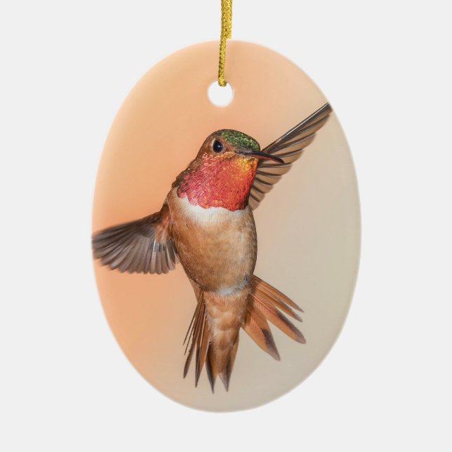 Rufous Hummingbird in Flight Monogram Name Ceramic Ornament (Front)