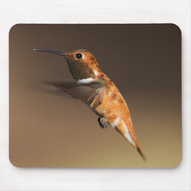 Rufous Hummingbird in flight Mouse Pad (Front)