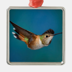 Rufous Hummingbird Metal Ornament