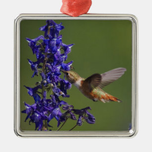 Rufous Hummingbird Metal Ornament