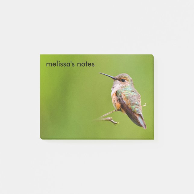 Rufous Hummingbird on California Lilac Branch Post-it Notes (Front)