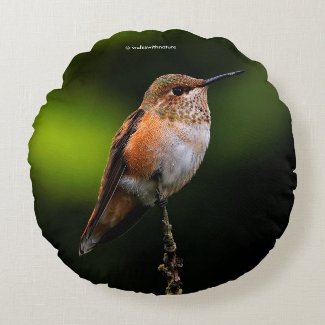Rufous Hummingbird on the Hybrid Fruit Tree Round Pillow (Front)