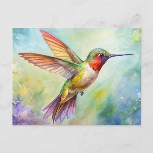 Rufous Hummingbird painting Postcard