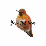 Rufous Hummingbird (Selasphorus rufus) Cutout<br><div class="desc">The Rufous Hummingbird is a common,  and aggressive,  hummingbird found throughout western North America. It often scares away other birds,  and is defensive of feeders.</div>
