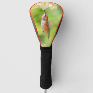 Rufous Hummingbird Sips Blueberry Blossom Nectar Golf Head Cover