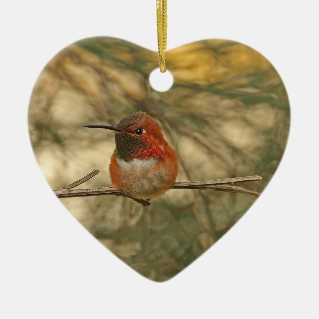 Rufous Hummingbird Sitting Ceramic Ornament (Front)