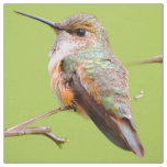 Rufous Hummingbird Sitting in the California Lilac Fabric