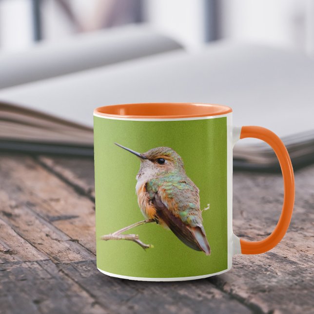 Rufous Hummingbird Sitting in the California Lilac Mug (Rufous Hummingbird in California Lilac 11 oz Coffee Mug Cover Photo.)