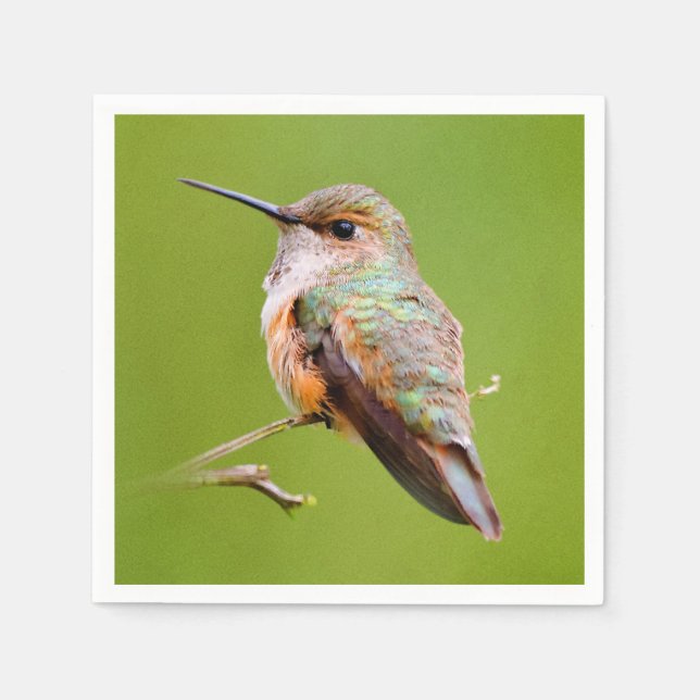 Rufous Hummingbird Sitting in the California Lilac Napkins (Front)