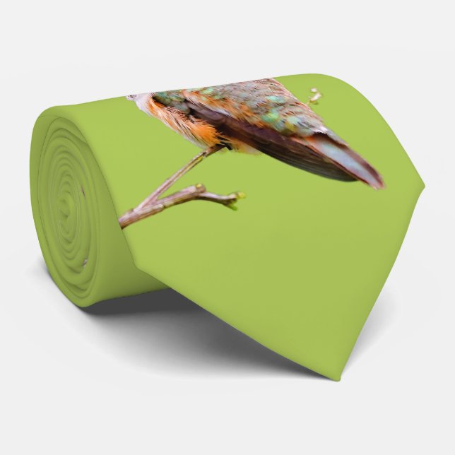 Rufous Hummingbird Sitting in the California Lilac Neck Tie (Rolled)