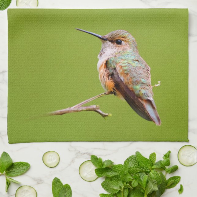Rufous Hummingbird Sitting in the California Lilac Towel (Folded)