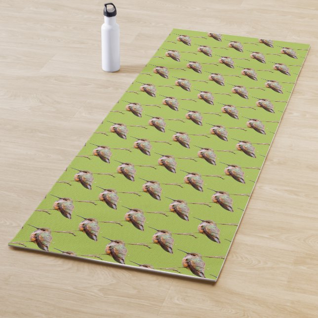 Rufous Hummingbird Sitting in the California Lilac Yoga Mat (In Situ)