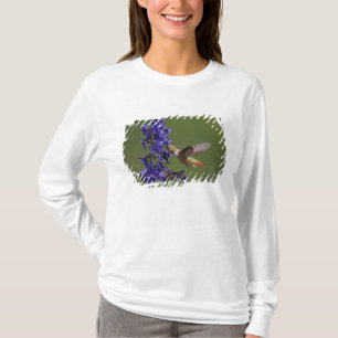 Rufous Hummingbird T-Shirt