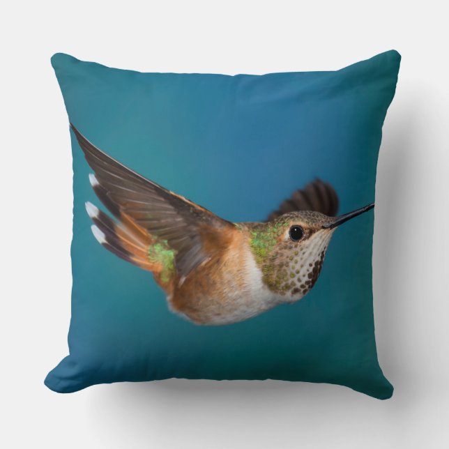 Rufous Hummingbird Throw Pillow (Front)