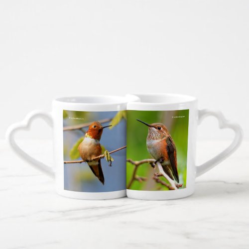 Rufous Hummingbirds Coffee Mug Set