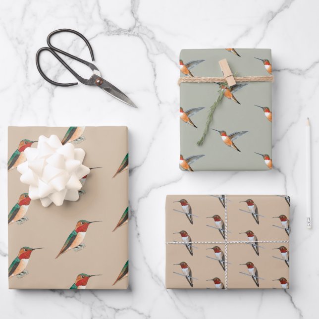 Rufous Hummingbirds Pattern Wrapping Paper Sheets (Front)