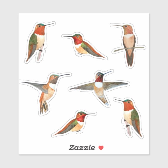 Rufous Hummingbirds Sticker (Sheet)